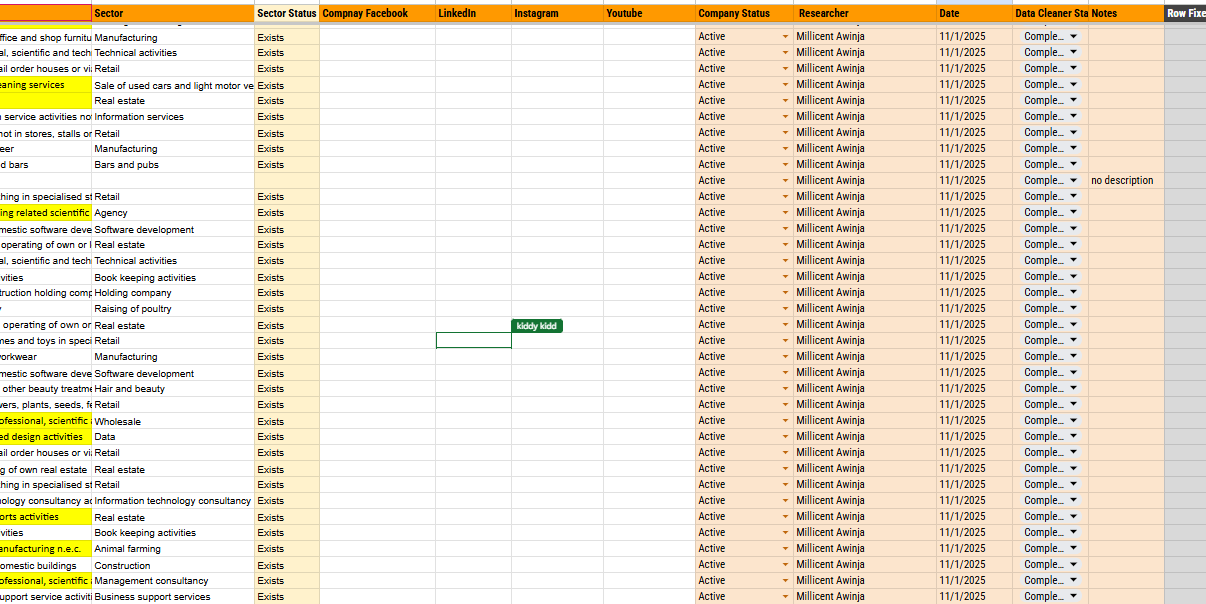 Professional Data Entry Services | Accurate, Fast & Reliable